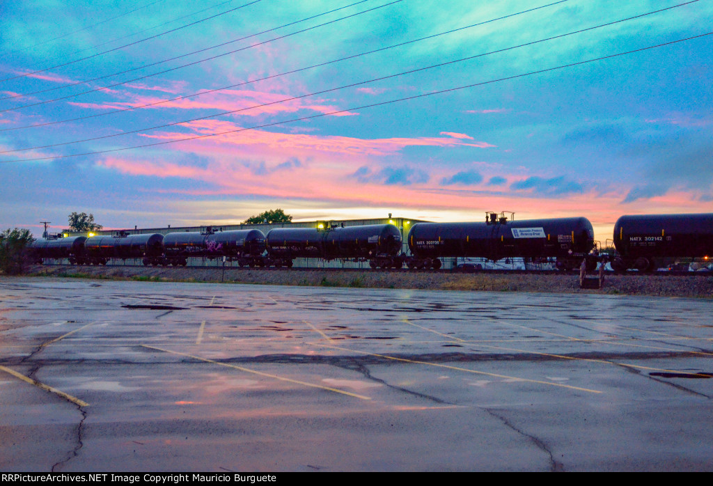 Tank cars in the yard